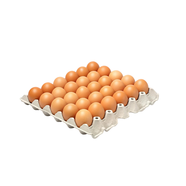 Egg Tray