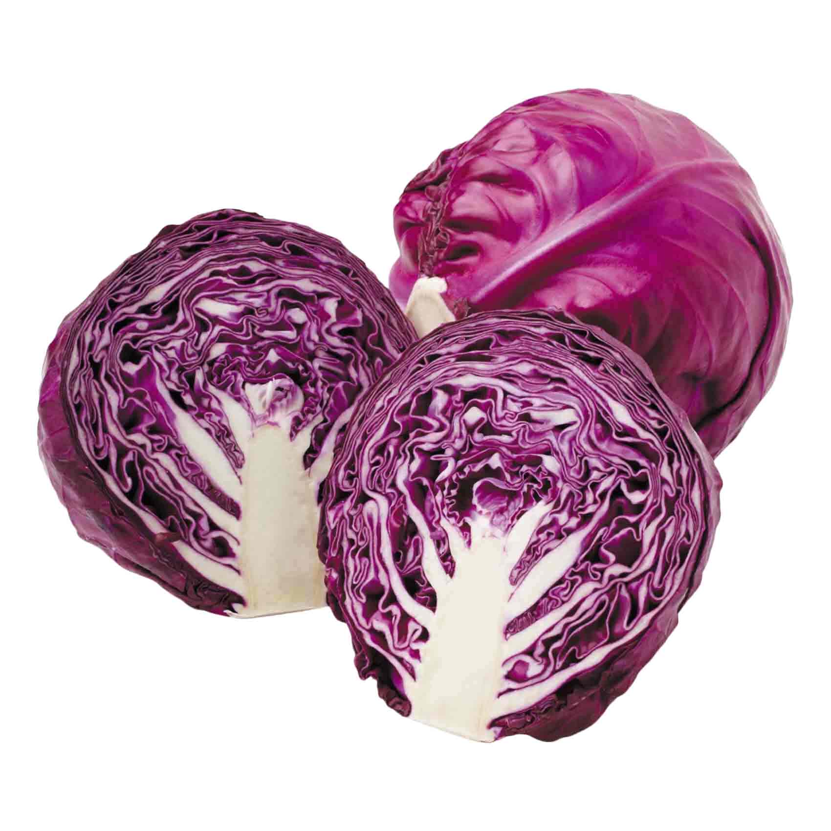 Red Cabbage